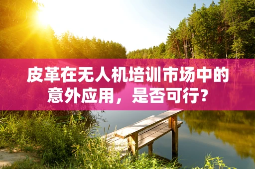 皮革在无人机培训市场中的意外应用，是否可行？