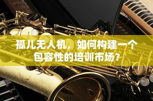 孤儿无人机，如何构建一个包容性的培训市场？