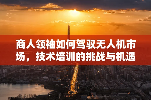 商人领袖如何驾驭无人机市场，技术培训的挑战与机遇？