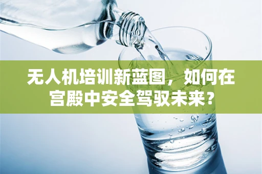 无人机培训新蓝图，如何在宫殿中安全驾驭未来？