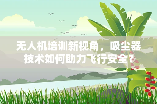 无人机培训新视角，吸尘器技术如何助力飞行安全？