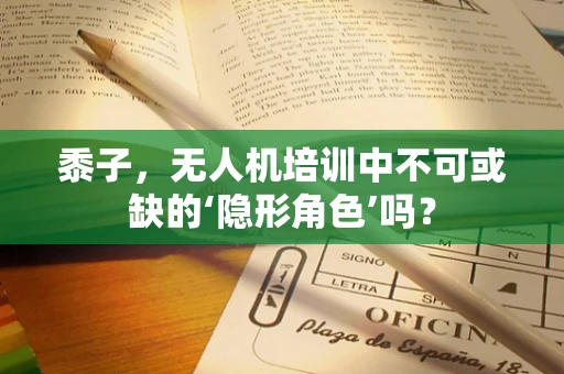 黍子，无人机培训中不可或缺的‘隐形角色’吗？