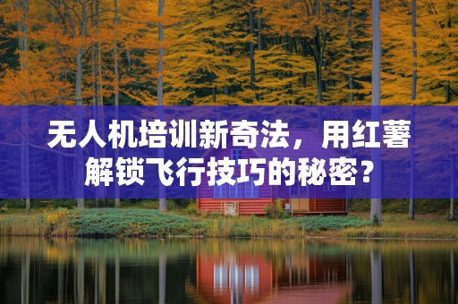 无人机培训新奇法，用红薯解锁飞行技巧的秘密？