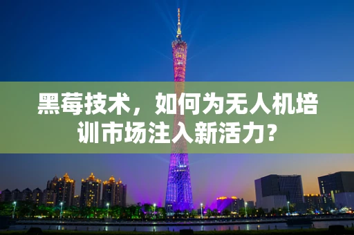 黑莓技术，如何为无人机培训市场注入新活力？