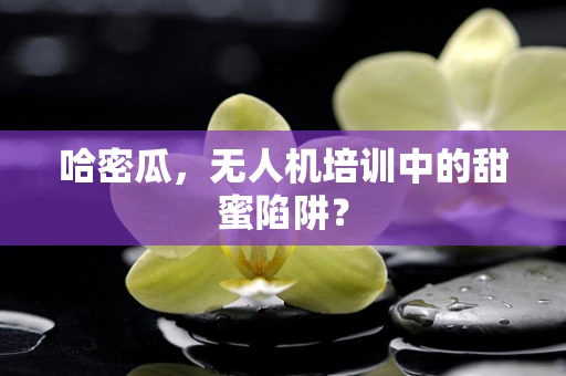 哈密瓜，无人机培训中的甜蜜陷阱？