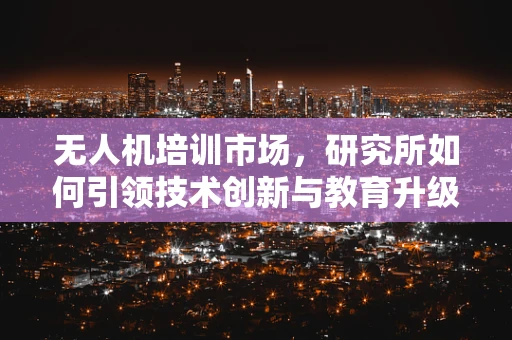 无人机培训市场，研究所如何引领技术创新与教育升级？