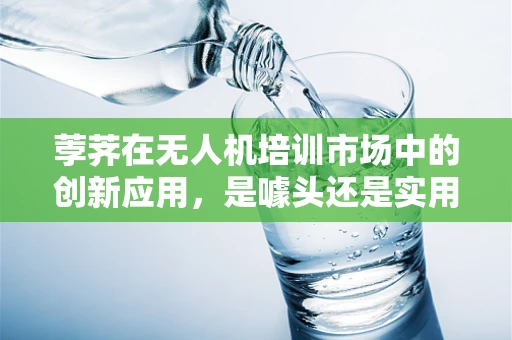 荸荠在无人机培训市场中的创新应用，是噱头还是实用新招？