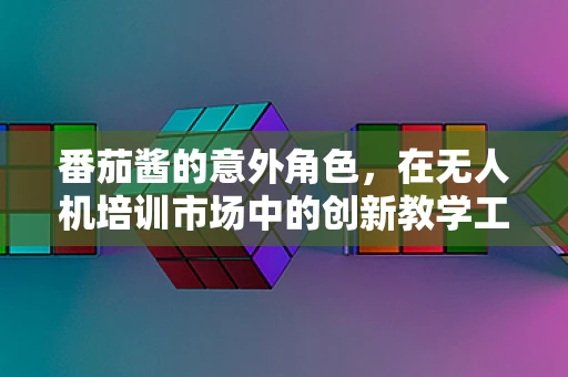 番茄酱的意外角色，在无人机培训市场中的创新教学工具？