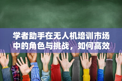 学者助手在无人机培训市场中的角色与挑战，如何高效辅助学习？