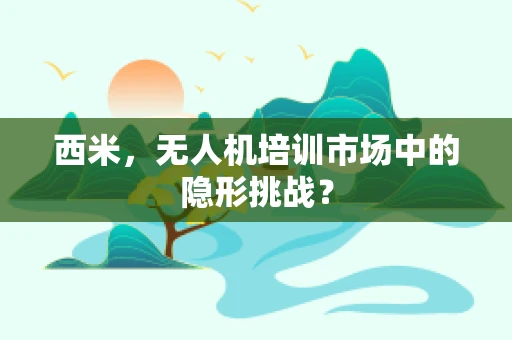 西米，无人机培训市场中的隐形挑战？