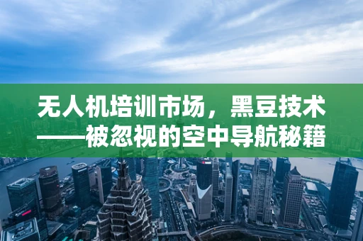 无人机培训市场，黑豆技术——被忽视的空中导航秘籍？