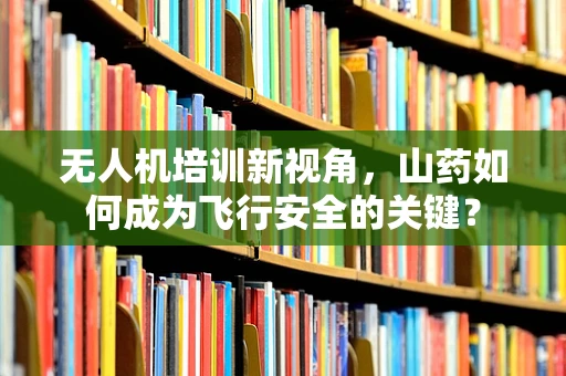 无人机培训新视角，山药如何成为飞行安全的关键？