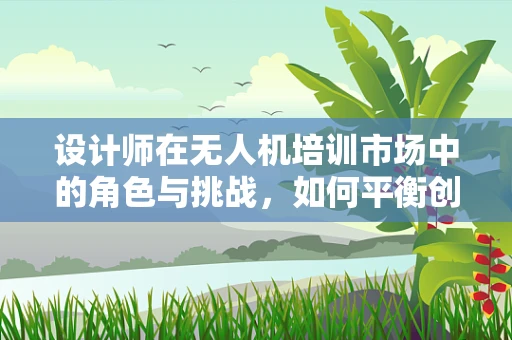 设计师在无人机培训市场中的角色与挑战，如何平衡创新与安全？