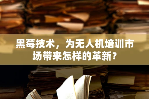 黑莓技术，为无人机培训市场带来怎样的革新？