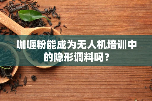 咖喱粉能成为无人机培训中的隐形调料吗？