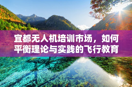 宜都无人机培训市场，如何平衡理论与实践的飞行教育？