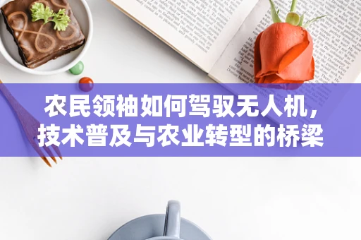 农民领袖如何驾驭无人机，技术普及与农业转型的桥梁？