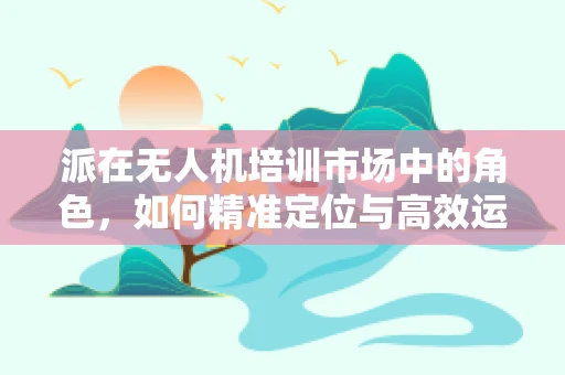 派在无人机培训市场中的角色，如何精准定位与高效运用？