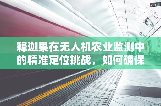 释迦果在无人机农业监测中的精准定位挑战，如何确保无人机在复杂地形中准确识别并监测释迦果园？