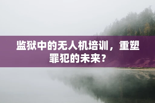 监狱中的无人机培训，重塑罪犯的未来？