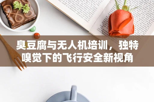 臭豆腐与无人机培训，独特嗅觉下的飞行安全新视角