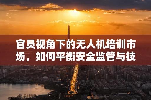 官员视角下的无人机培训市场，如何平衡安全监管与技能普及？