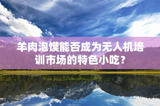 羊肉泡馍能否成为无人机培训市场的特色小吃？