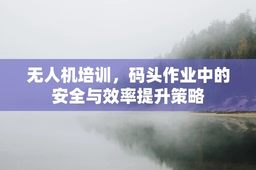 无人机培训，码头作业中的安全与效率提升策略