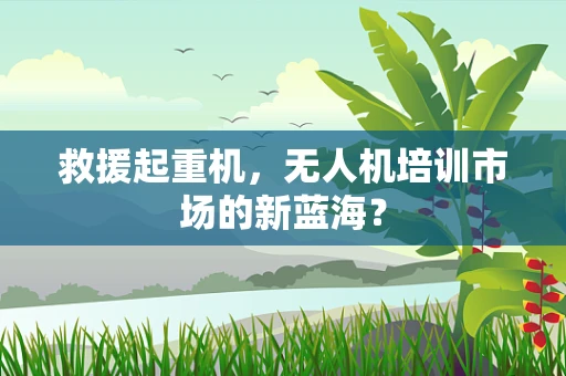 救援起重机，无人机培训市场的新蓝海？