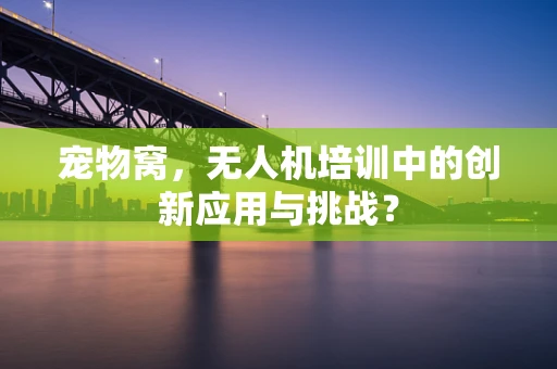 宠物窝，无人机培训中的创新应用与挑战？