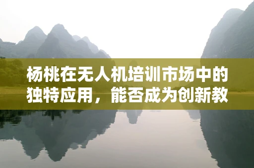 杨桃在无人机培训市场中的独特应用，能否成为创新教学工具？