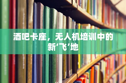 酒吧卡座，无人机培训中的新‘飞’地