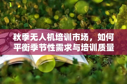 秋季无人机培训市场，如何平衡季节性需求与培训质量？