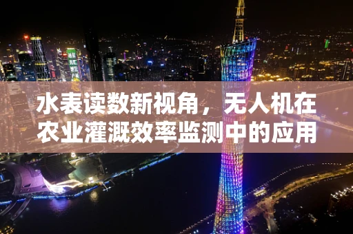 水表读数新视角，无人机在农业灌溉效率监测中的应用