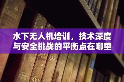 水下无人机培训，技术深度与安全挑战的平衡点在哪里？