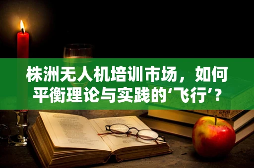 株洲无人机培训市场，如何平衡理论与实践的‘飞行’？