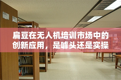 扁豆在无人机培训市场中的创新应用，是噱头还是实操？