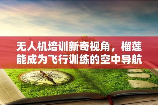 无人机培训新奇视角，榴莲能成为飞行训练的空中导航吗？