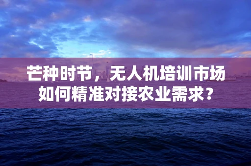 芒种时节，无人机培训市场如何精准对接农业需求？