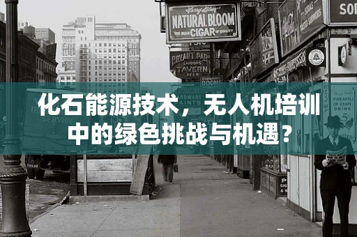 化石能源技术，无人机培训中的绿色挑战与机遇？