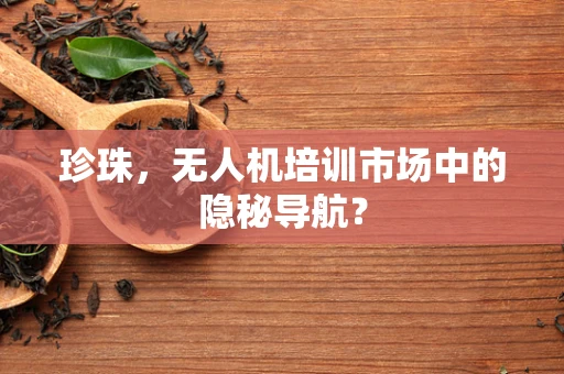 珍珠，无人机培训市场中的隐秘导航？