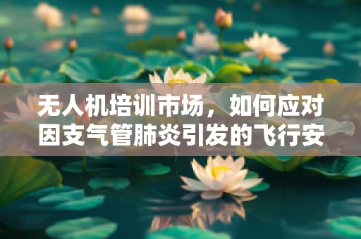 无人机培训市场，如何应对因支气管肺炎引发的飞行安全挑战？