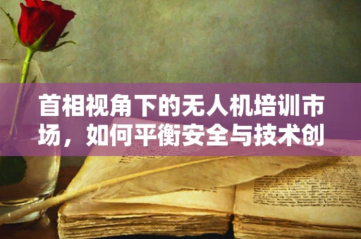 首相视角下的无人机培训市场，如何平衡安全与技术创新？