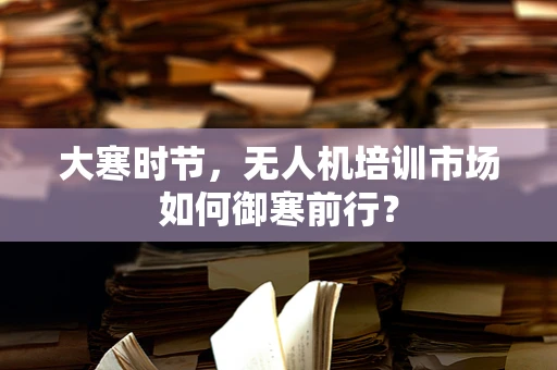 大寒时节，无人机培训市场如何御寒前行？