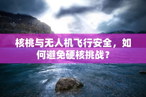 核桃与无人机飞行安全，如何避免硬核挑战？