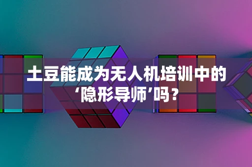 土豆能成为无人机培训中的‘隐形导师’吗？