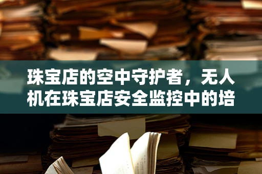 珠宝店的空中守护者，无人机在珠宝店安全监控中的培训需求