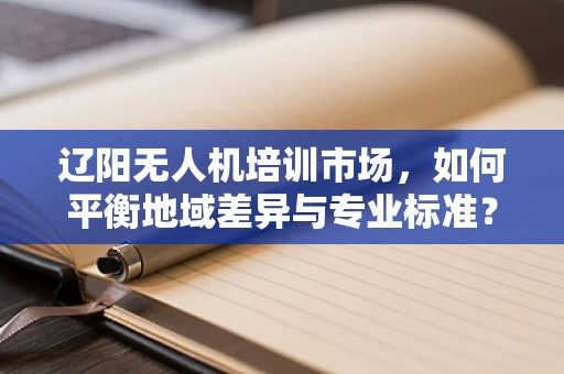 辽阳无人机培训市场，如何平衡地域差异与专业标准？