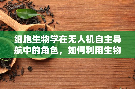 细胞生物学在无人机自主导航中的角色，如何利用生物启发的算法提升飞行性能？