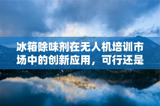 冰箱除味剂在无人机培训市场中的创新应用，可行还是噱头？